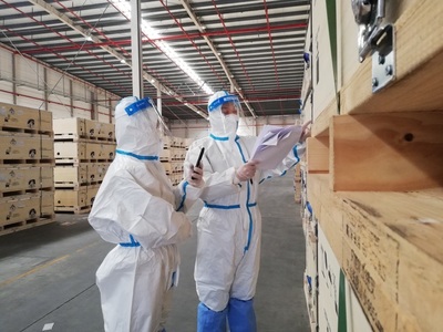 为外贸增长注入新动能 上半年上海新能源产业出口火爆